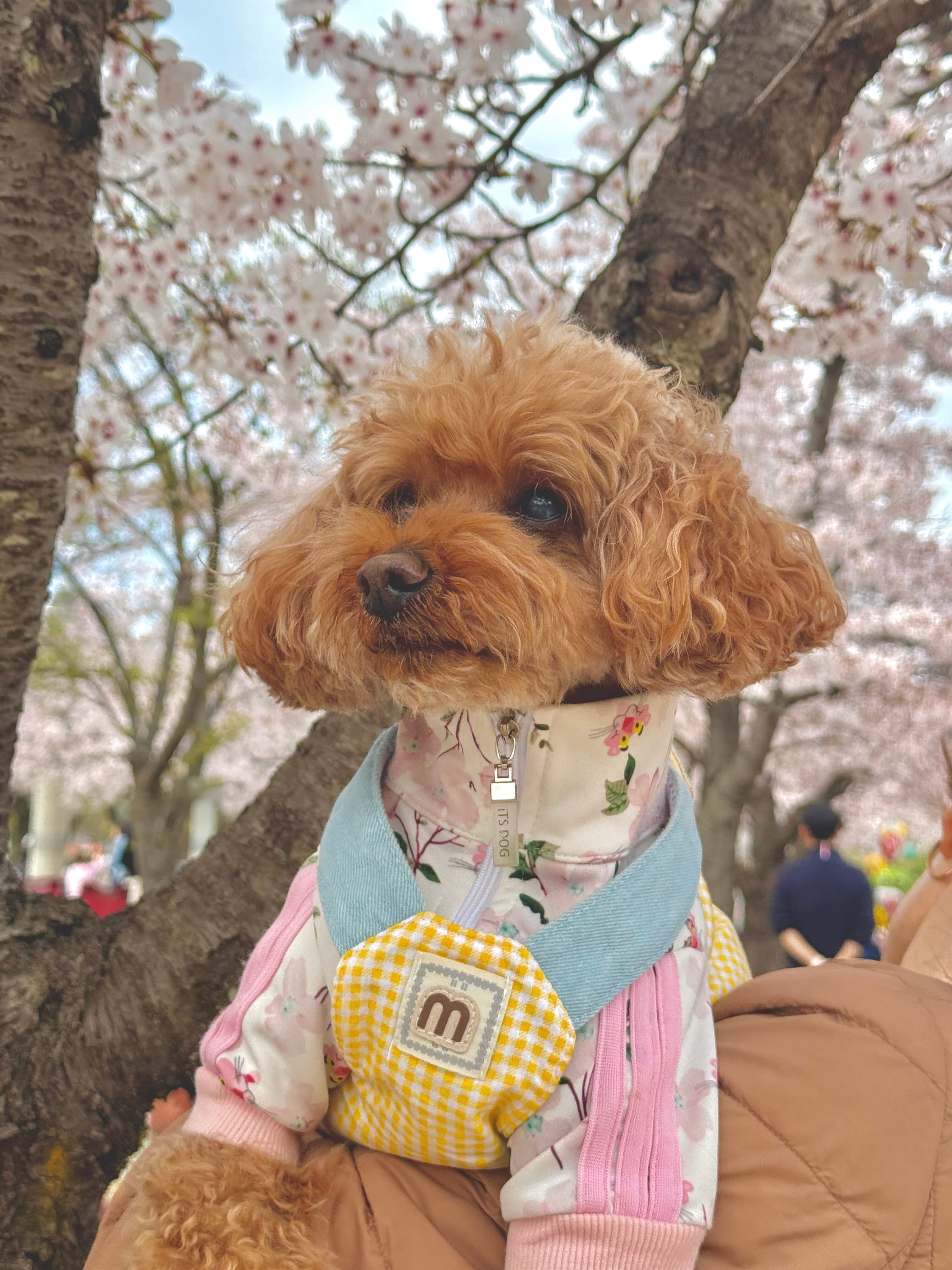 증명사진 원본 이미지 2